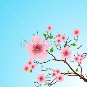 Tri Widiawati profile icon