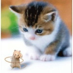 Indri Remon profile icon