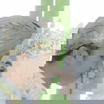 Dwi Sri Hayati I profile icon