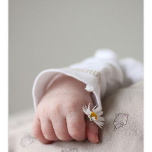 Vida Nafidha profile icon