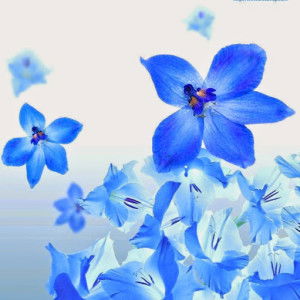 Rahma Hidayati profile icon