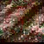 Aulia kasandra profile icon