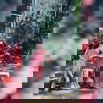 Dyrene Ida Malubay profile icon