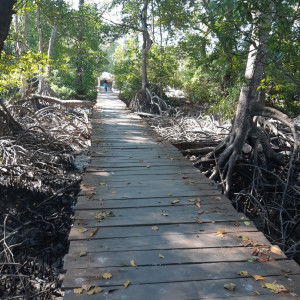 nikelita profile icon