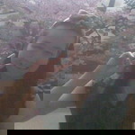 Pimmy Ariya profile icon