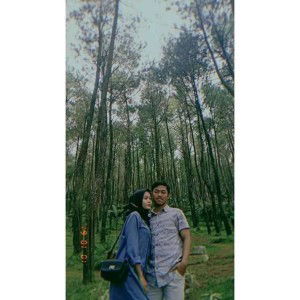 Dheana S N profile icon