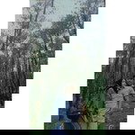 Dheana S N profile icon