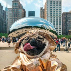 โม อนอัวฯ profile icon