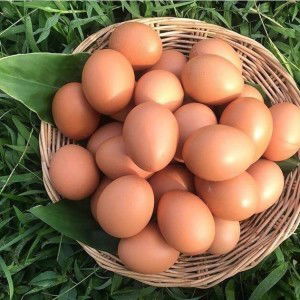 Phoommy Phoom profile icon