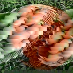 Phoommy Phoom profile icon