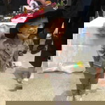 Vion Wong profile icon