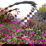 dyah sekar profile icon