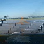 Ratchaneewan Srinanon profile icon