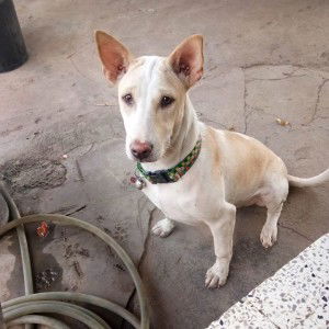 เบียร์ หมี่หนู profile icon