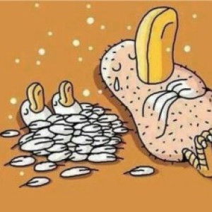 Amimosa/Abibya profile icon