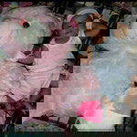 Jaqueline Tiolengco profile icon