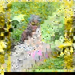 นู๋หรั่ง คาสสโนวี่ profile icon