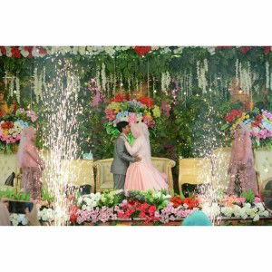 Veveifr profile icon