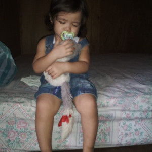 dee mercury profile icon