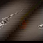 Hiyori H profile icon