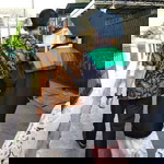 Shinta Noviani profile icon