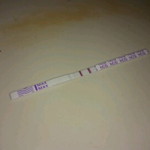 salisatul asma profile icon