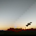 Esse Muti Pink profile icon