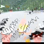 Wi-Wina Wina profile icon