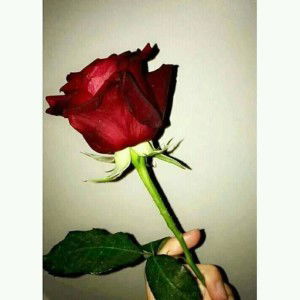 Ny Nur khasanah (mama arya) profile icon