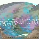 Kittima chiammanasombat profile icon