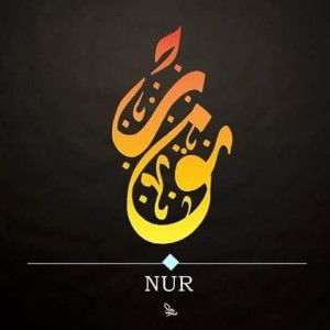 Nur Fyzan profile icon