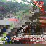 Yuli Elin profile icon