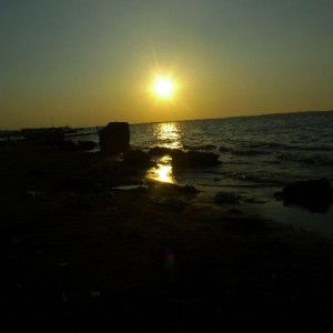 nela yuliana sari profile icon