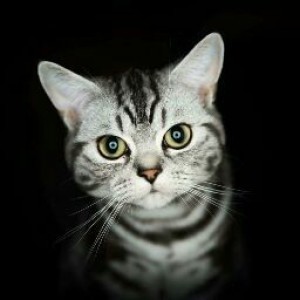 Riska Rahmayanti profile icon