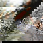 Njulie Greeno profile icon