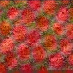 Raka Cikal profile icon