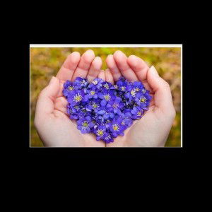 chinta rizkiani profile icon