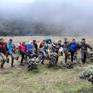 Yelli Nurliana profile icon