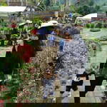 Nina Karlina profile icon