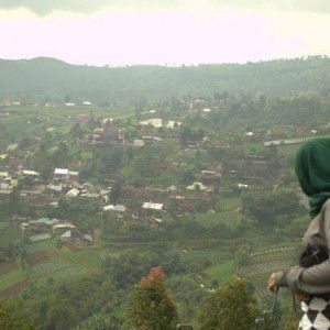 Tyas Permata profile icon