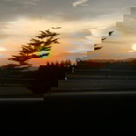 Mann Fung profile icon