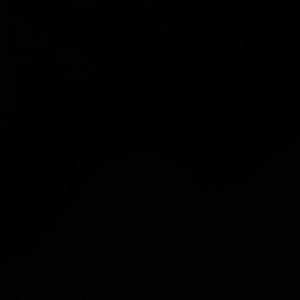 Roshelle Galgana profile icon