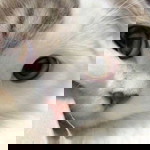 Andrea Ducot profile icon