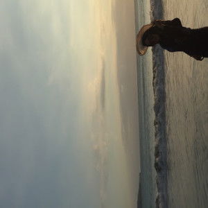 Kartika Sari Roseda profile icon