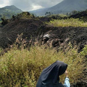 Sofia Siti Sholehah profile icon