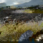 Sofia Siti Sholehah profile icon