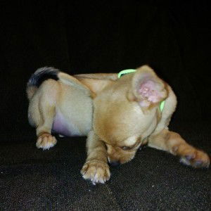 Rillanee Rill profile icon