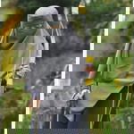 Frulcithd profile icon