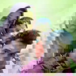 Sun Ndari profile icon