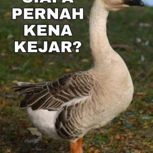 Costarica profile icon